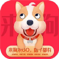 来狗(原可心房)app安卓版