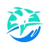 政通雄安健康码最新版