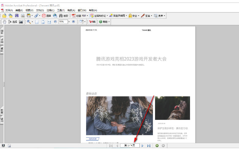 AdobeAcrobat怎么删除页面 AdobeAcrobat怎么删除页面