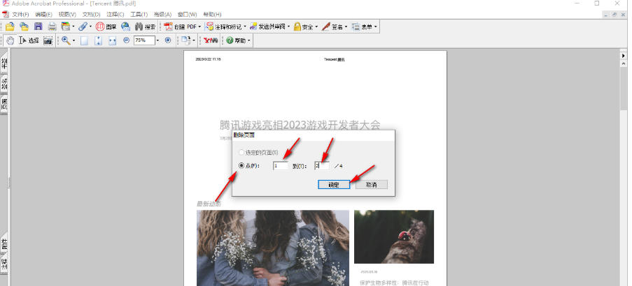 AdobeAcrobat怎么删除页面 AdobeAcrobat怎么删除页面