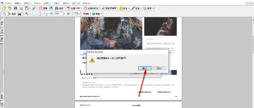 AdobeAcrobat怎么删除页面 AdobeAcrobat怎么删除页面