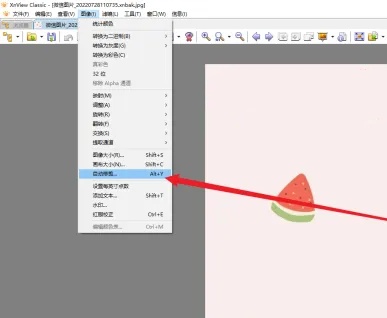 XnViewz怎么用?如何在XnView中启用自动修剪功能? XnViewz怎么用?如何在XnView中启用自动修剪功能?