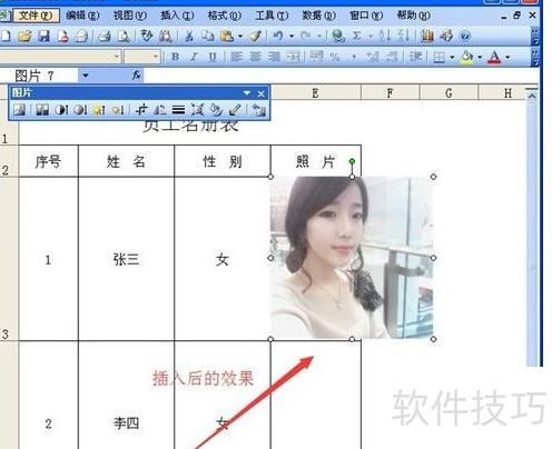 excel表格怎么加图片 excel表格怎么加图片