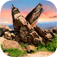 潘莫菲亚觉醒Panmorphia