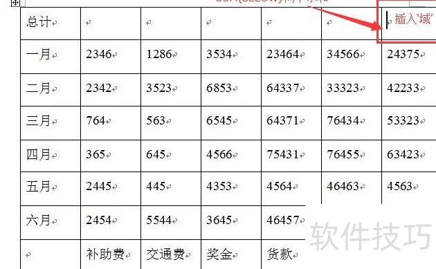 巧用word里的域功能 巧用word里的域功能