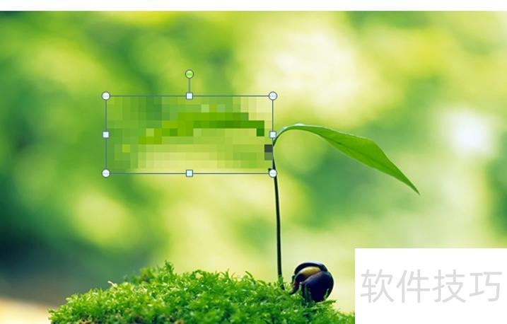 ppt图片上怎么打马赛克 ppt图片上怎么打马赛克