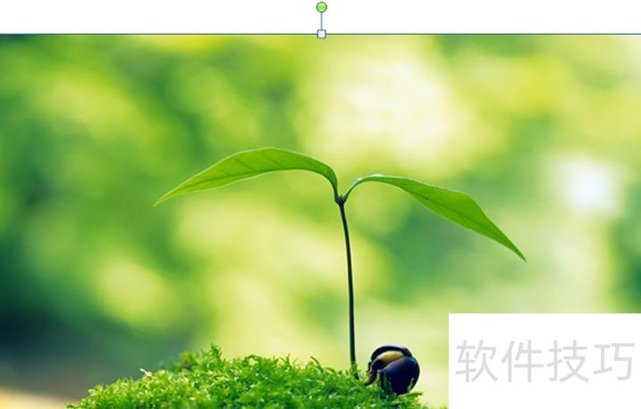 ppt图片上怎么打马赛克 ppt图片上怎么打马赛克