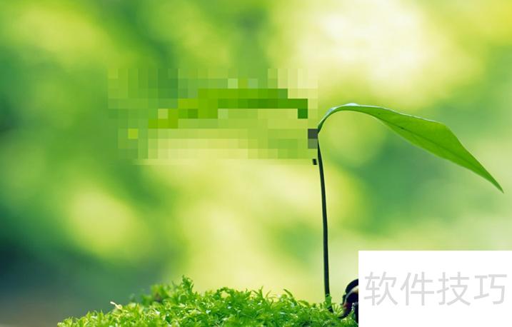 ppt图片上怎么打马赛克 ppt图片上怎么打马赛克