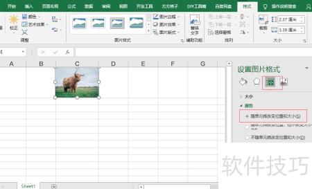 excel怎么设置背景图片 excel怎么设置背景图片