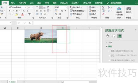 excel怎么设置背景图片 excel怎么设置背景图片