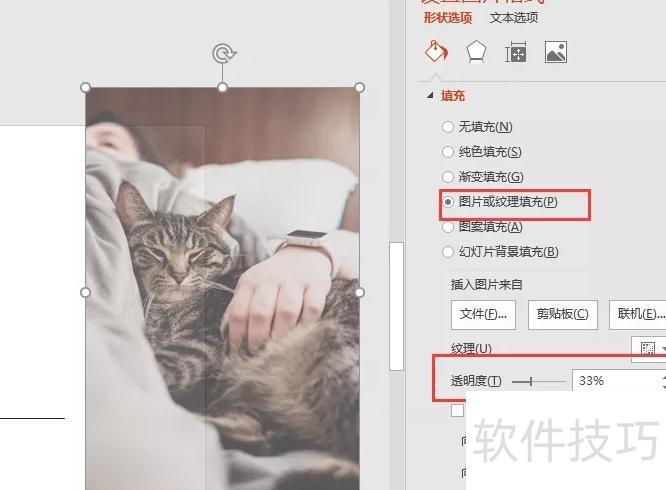 PPT怎么做图片虚化背景 PPT怎么做图片虚化背景