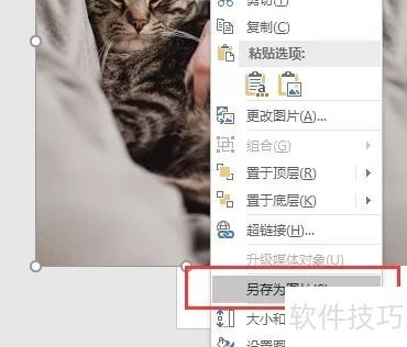 PPT怎么做图片虚化背景 PPT怎么做图片虚化背景