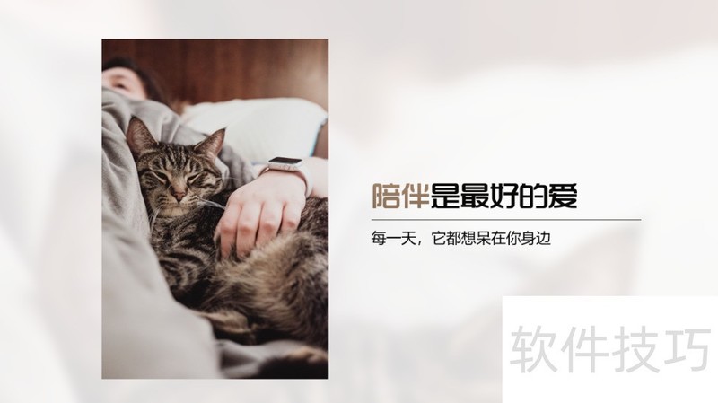 PPT怎么做图片虚化背景 PPT怎么做图片虚化背景