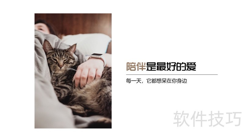 PPT怎么做图片虚化背景 PPT怎么做图片虚化背景