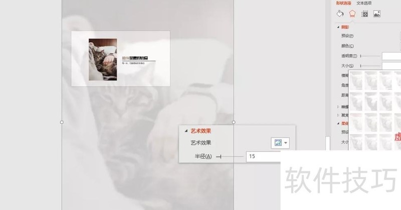 PPT怎么做图片虚化背景 PPT怎么做图片虚化背景