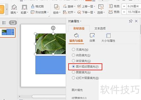 一页ppt多个图片怎么更美观 一页ppt多个图片怎么更美观