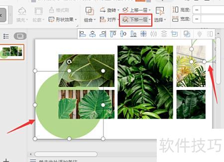 一页ppt多个图片怎么更美观 一页ppt多个图片怎么更美观