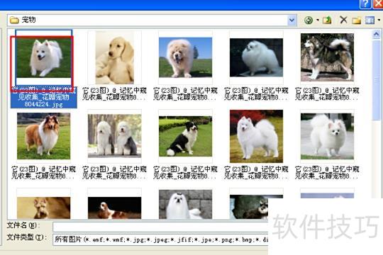 如何在ppt里面插入图片 如何在ppt里面插入图片