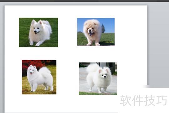 如何在ppt里面插入图片 如何在ppt里面插入图片