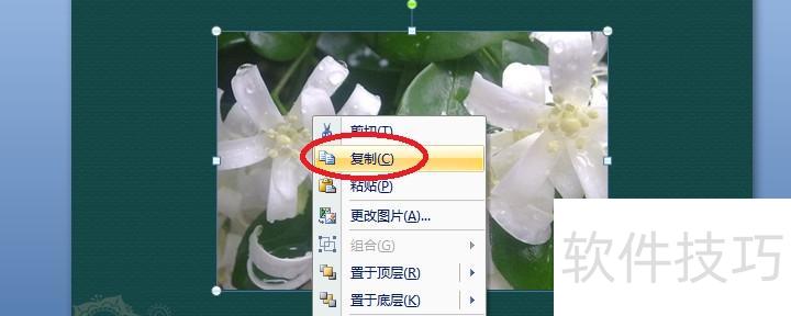 怎样复制出ppt里的图片 怎样复制出ppt里的图片