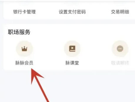 脉脉怎么开通会员? 脉脉怎么开通会员?