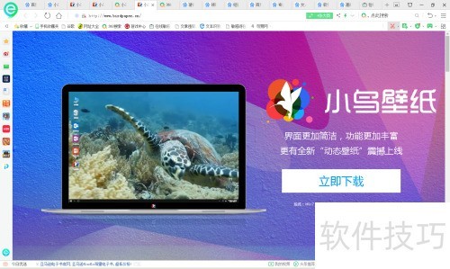 小鸟壁纸怎样安装? 小鸟壁纸怎样安装?