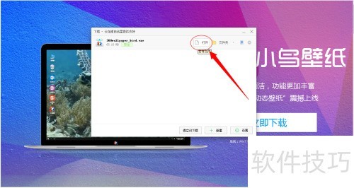 小鸟壁纸怎样安装? 小鸟壁纸怎样安装?