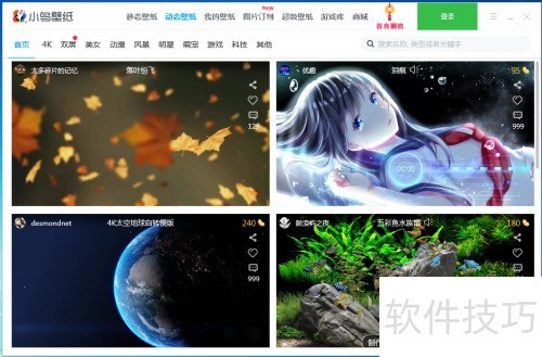 小鸟壁纸怎样安装? 小鸟壁纸怎样安装?