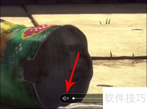 小鸟壁纸怎么设置声音 小鸟壁纸怎么设置声音