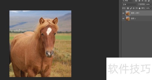 photosop移花接木换头大变身操作及注意事项 photosop移花接木换头大变身操作及注意事项