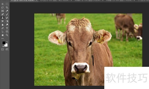 photosop移花接木换头大变身操作及注意事项 photosop移花接木换头大变身操作及注意事项