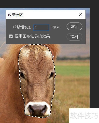 photosop移花接木换头大变身操作及注意事项 photosop移花接木换头大变身操作及注意事项
