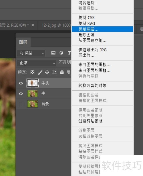 photosop移花接木换头大变身操作及注意事项 photosop移花接木换头大变身操作及注意事项