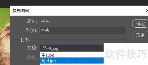 photosop移花接木换头大变身操作及注意事项 photosop移花接木换头大变身操作及注意事项