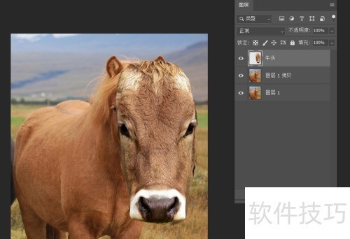 photosop移花接木换头大变身操作及注意事项 photosop移花接木换头大变身操作及注意事项