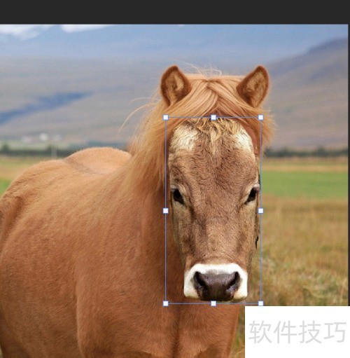 photosop移花接木换头大变身操作及注意事项 photosop移花接木换头大变身操作及注意事项