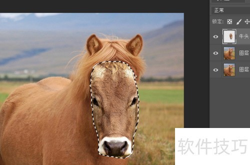 photosop移花接木换头大变身操作及注意事项 photosop移花接木换头大变身操作及注意事项