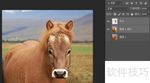 photosop移花接木换头大变身操作及注意事项 photosop移花接木换头大变身操作及注意事项