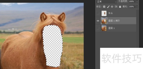 photosop移花接木换头大变身操作及注意事项 photosop移花接木换头大变身操作及注意事项