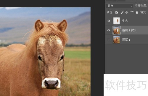 photosop移花接木换头大变身操作及注意事项 photosop移花接木换头大变身操作及注意事项