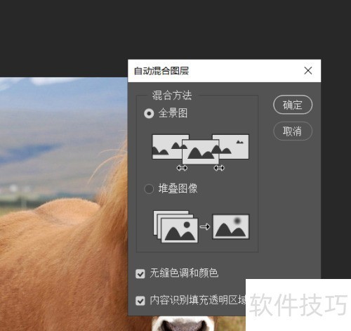 photosop移花接木换头大变身操作及注意事项 photosop移花接木换头大变身操作及注意事项