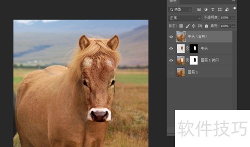 photosop移花接木换头大变身操作及注意事项 photosop移花接木换头大变身操作及注意事项