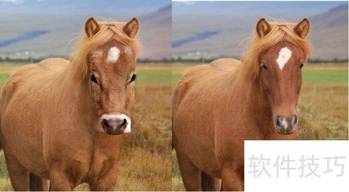 photosop移花接木换头大变身操作及注意事项 photosop移花接木换头大变身操作及注意事项