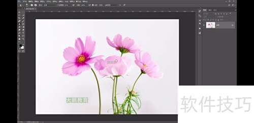 Ps:仿制图章——移花接木的技巧 Ps:仿制图章——移花接木的技巧