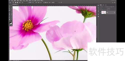 Ps:仿制图章——移花接木的技巧 Ps:仿制图章——移花接木的技巧