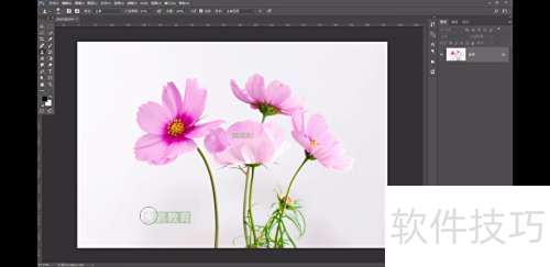 Ps:仿制图章——移花接木的技巧 Ps:仿制图章——移花接木的技巧