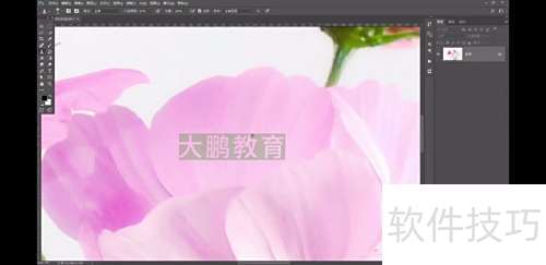 Ps:仿制图章——移花接木的技巧 Ps:仿制图章——移花接木的技巧