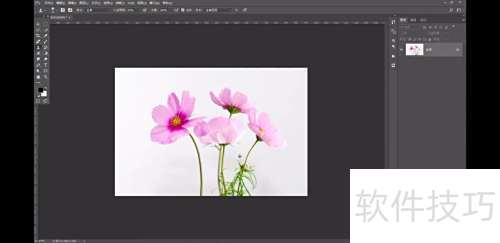 Ps:仿制图章——移花接木的技巧 Ps:仿制图章——移花接木的技巧