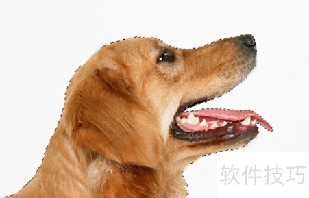 PS移花接木之海报头像更改? PS移花接木之海报头像更改?