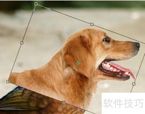 PS移花接木之海报头像更改? PS移花接木之海报头像更改?